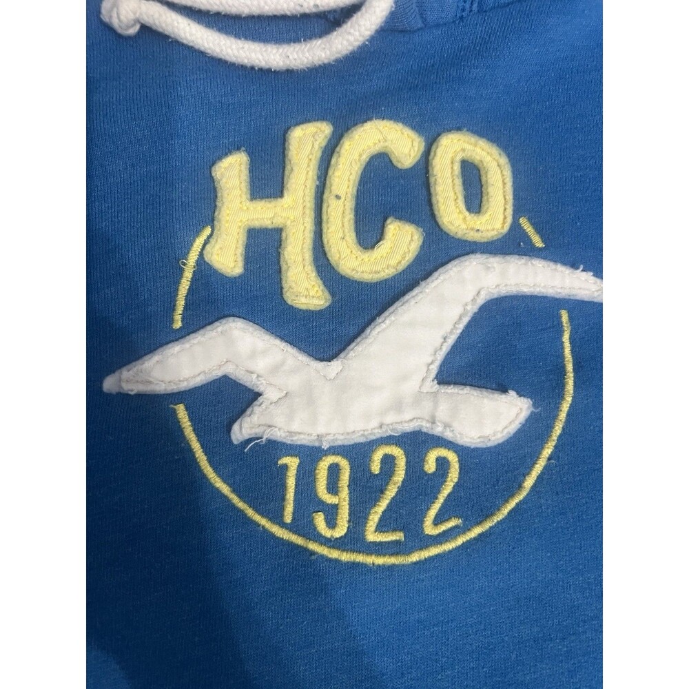 Hollister Icon Seagull Pullover Blue Hoodie Sz Large - Picture 11 of 11
